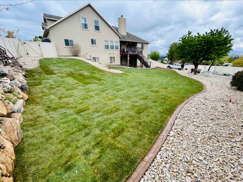Sod Installation & Replacement image