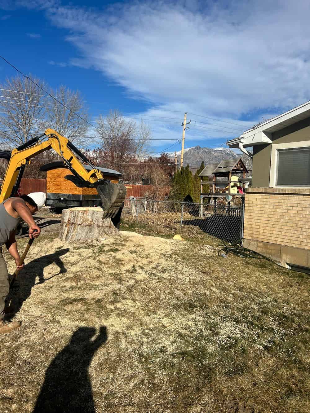 Stump Grinding image