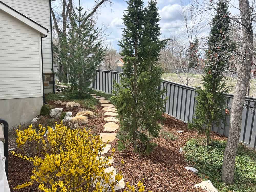 Xeriscaping (Low-Water Landscaping) image
