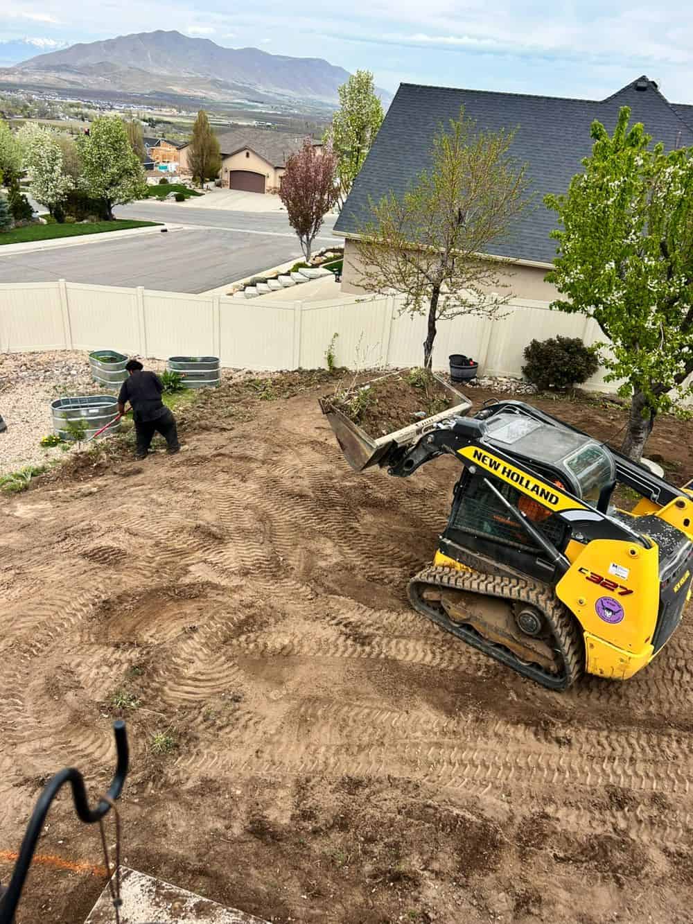 Tree Thinning image
