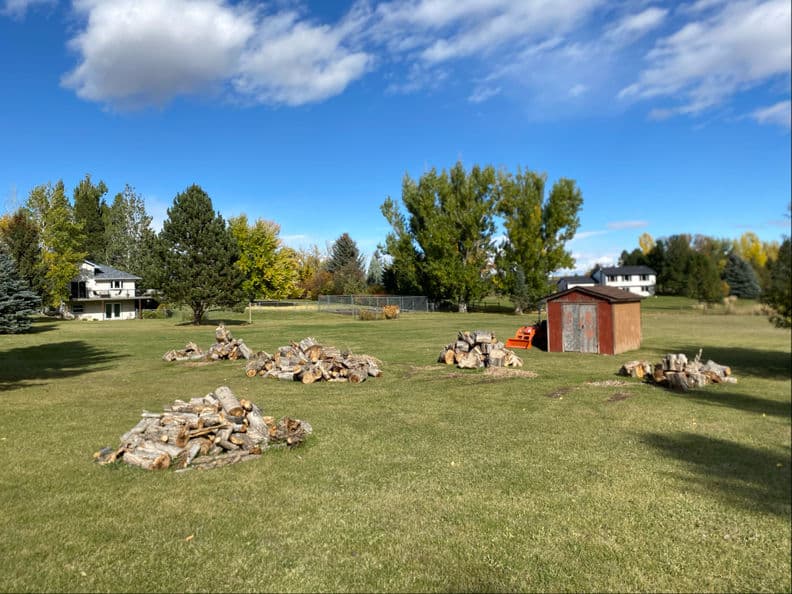 Efficient Removal of Tall Cottonwoods in Sheridan image