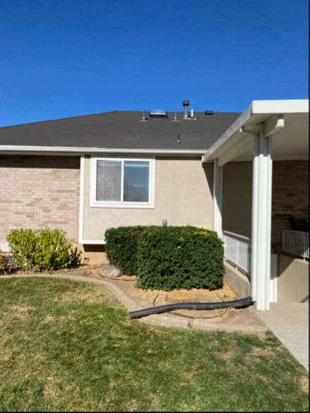 Comprehensive Tree Removal in Layton Utah