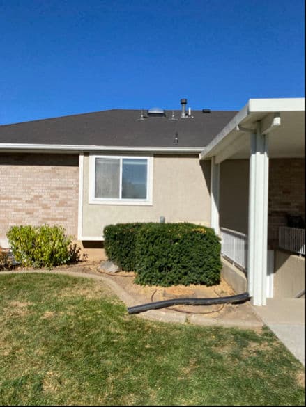 Project Comprehensive Tree Removal in Layton Utah image