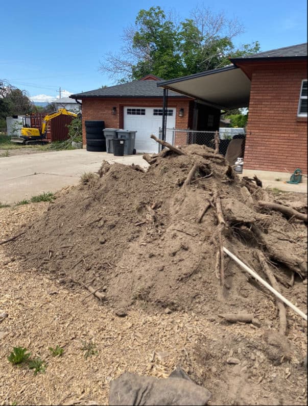 Transforming a Dusty Landscape into a Green Paradise in Nephi