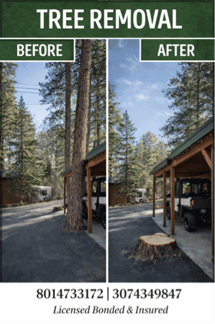 Project Successful Tree Removal in Story, Wyoming image