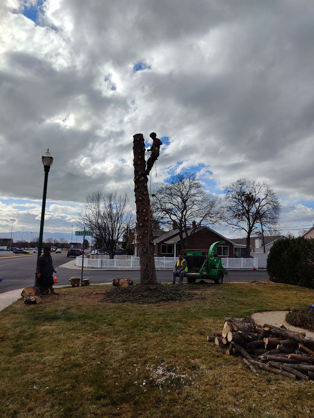Tree removal service with climber, machinery, and logs on the ground under a cloudy sky.