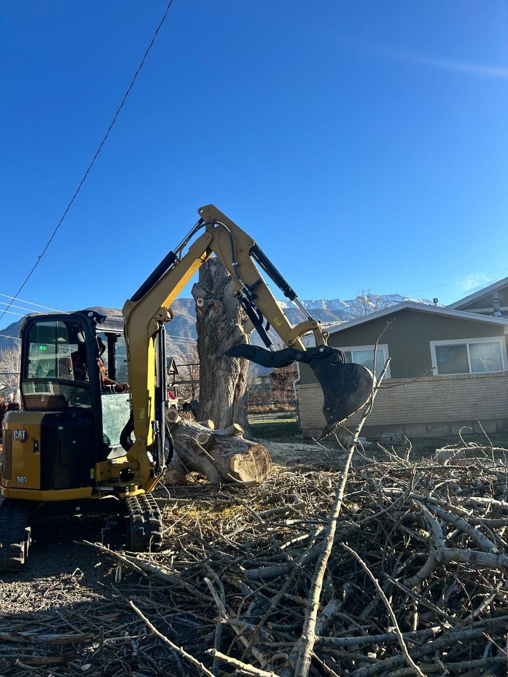 Excavator lifting tree debris in residential area with mountains in the background.