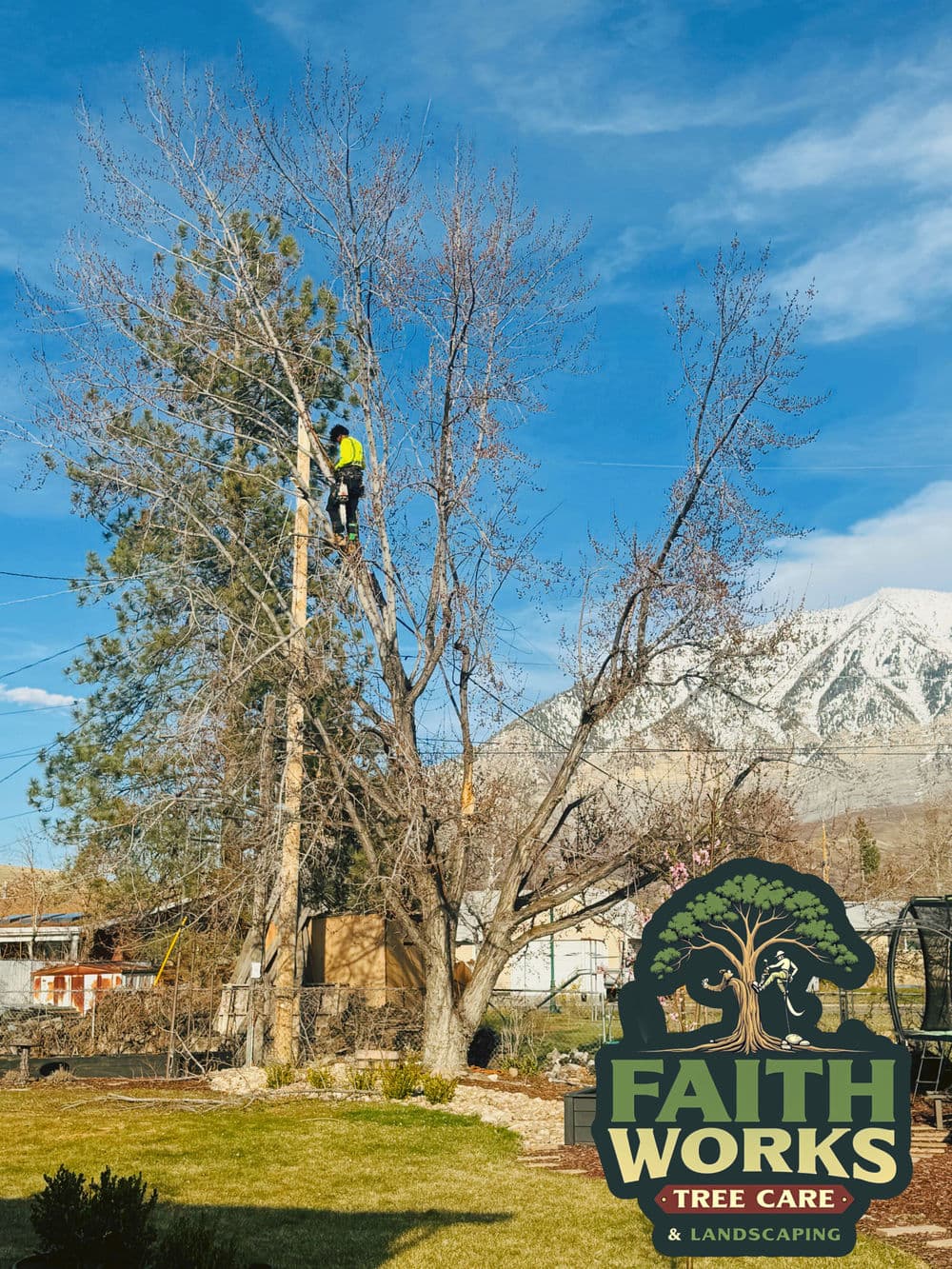 Tree care professional pruning a tall tree against a mountain backdrop, Faith Works logo visible.