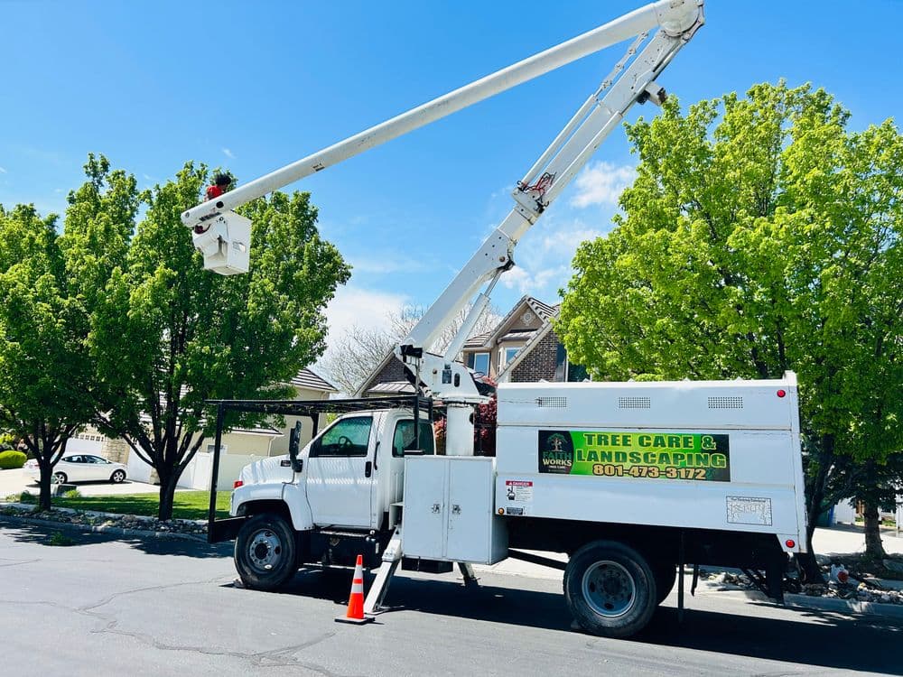 Tree care and landscaping truck with a lift bucket parked under trees on a sunny day.