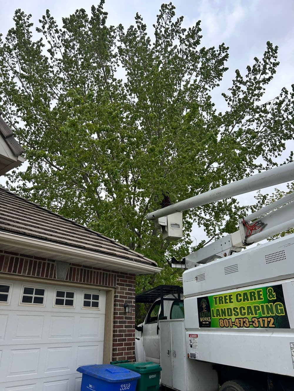 Tree care service using a truck-mounted lift for tree maintenance in a residential area.