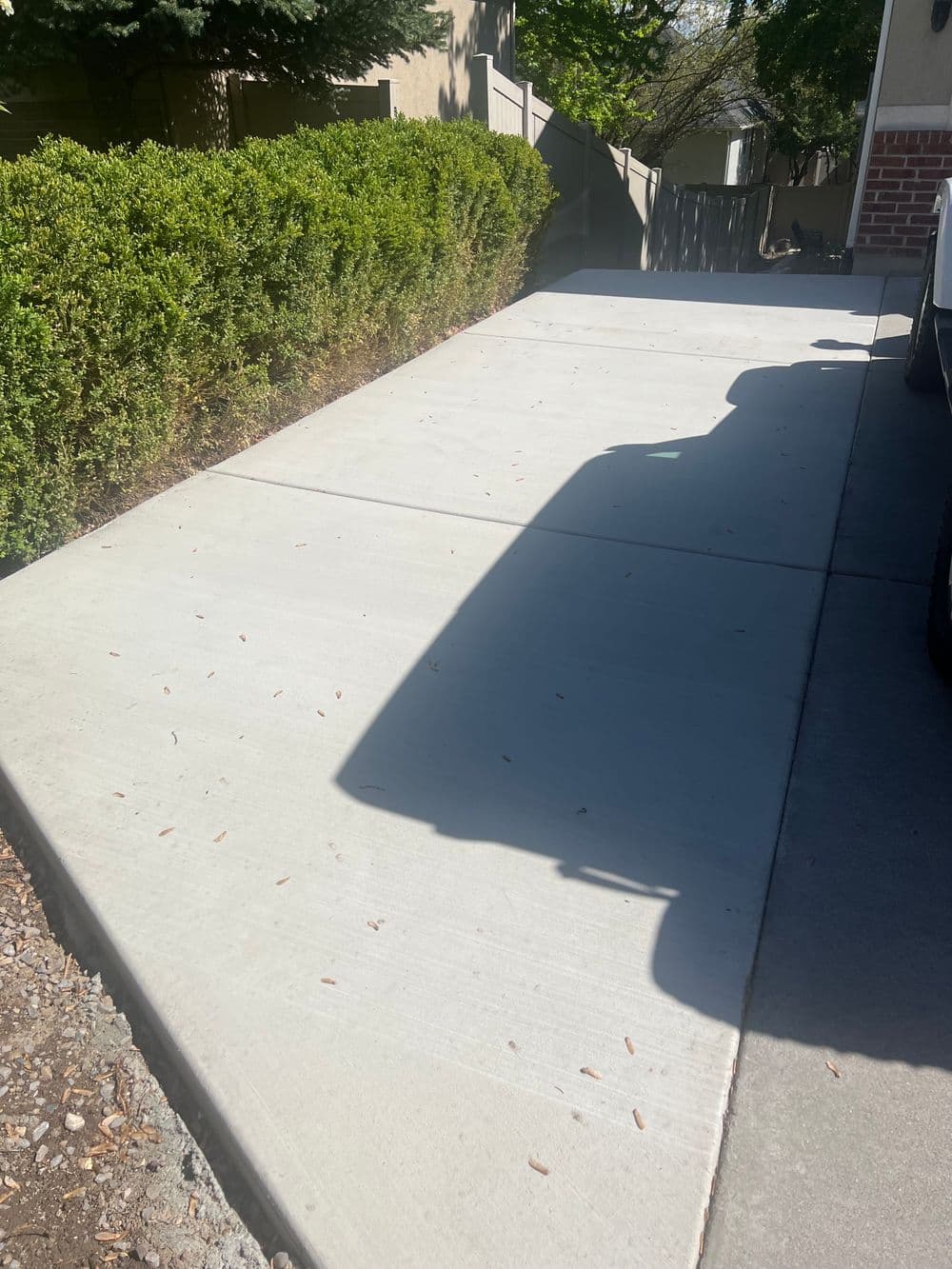 Concrete driveway with green hedges and shadows from nearby trees on a sunny day.