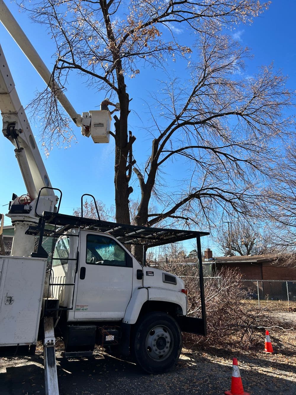 Tree trimming service in progress with a bucket truck under a clear blue sky.