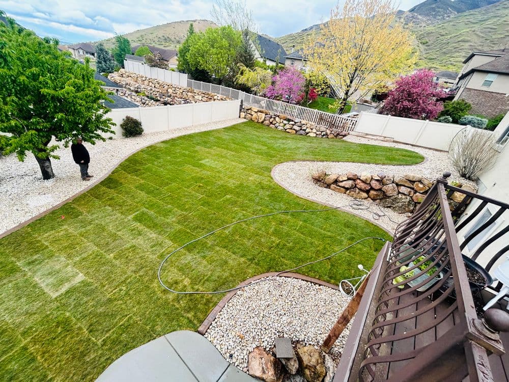 Lush green lawn with curved design and landscaping in residential neighborhood.