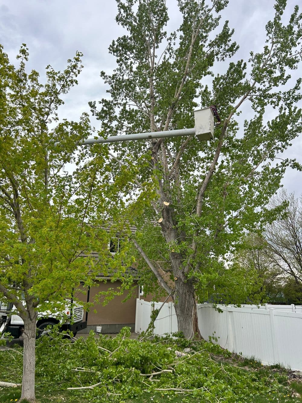 Tree trimming with boom lift near residential home, debris scattered on the ground.