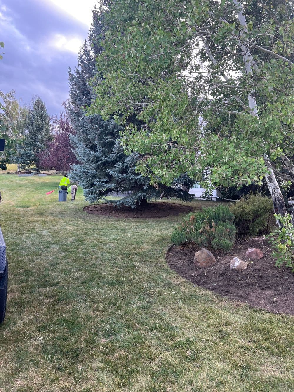 Man landscaping a yard with trees and shrubs under a cloudy sky.