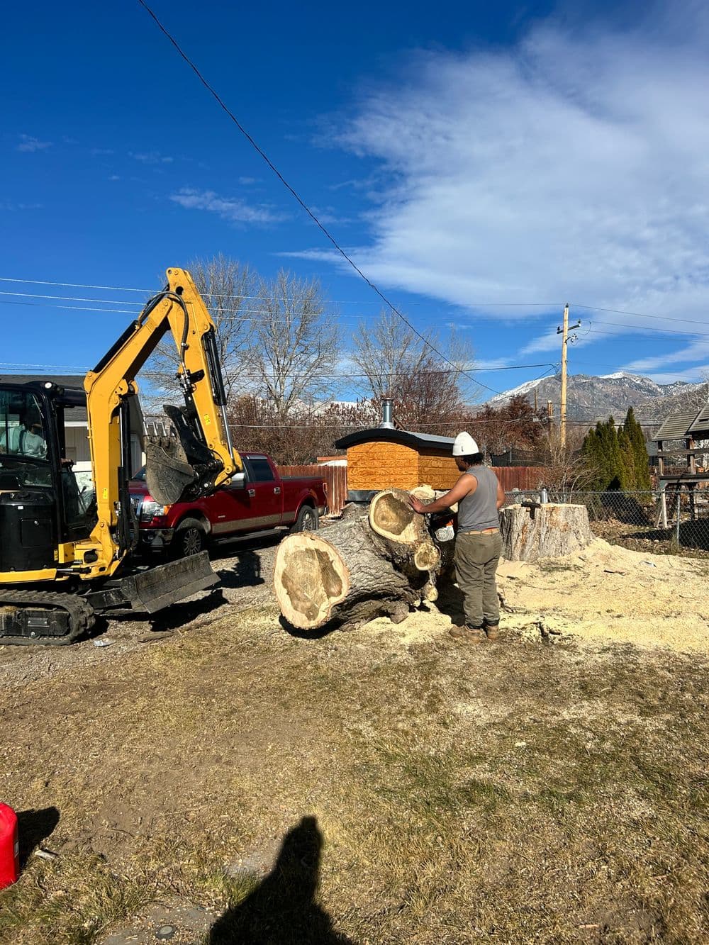 Worker using heavy machinery to cut a large tree log in a sunny outdoor setting.