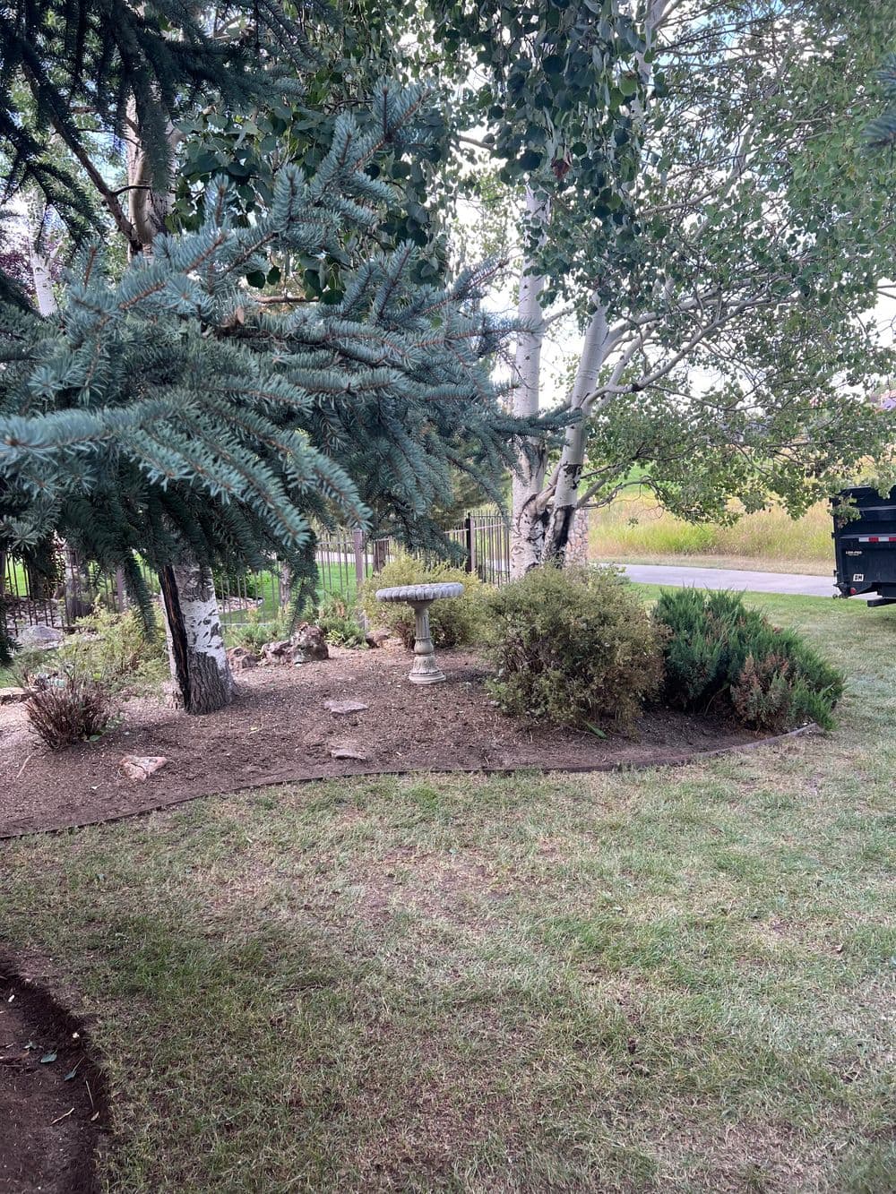 Lush garden scene featuring a birdbath surrounded by greenery and trees.