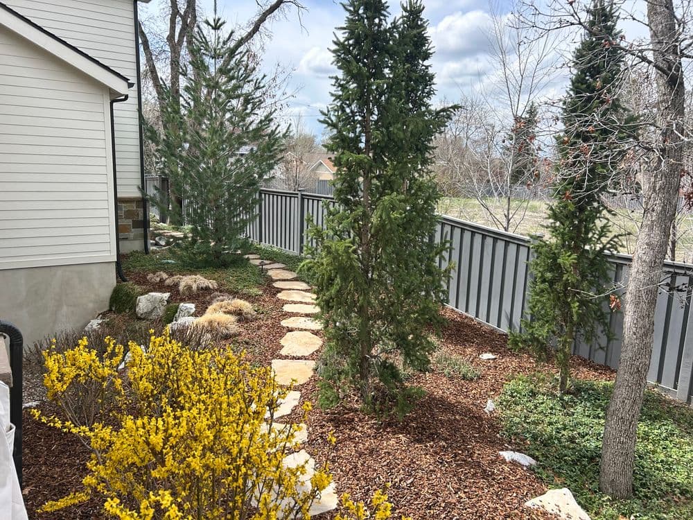 Lush garden path with yellow flowers, evergreen trees, and stone walkway beside a house.