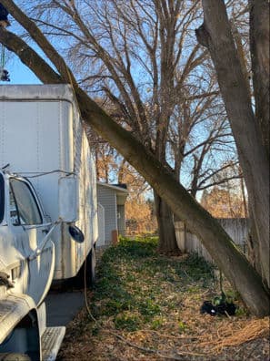 Gallery photos for Safe and Efficient Tree Removal Near a Vintage Truck: Image #2